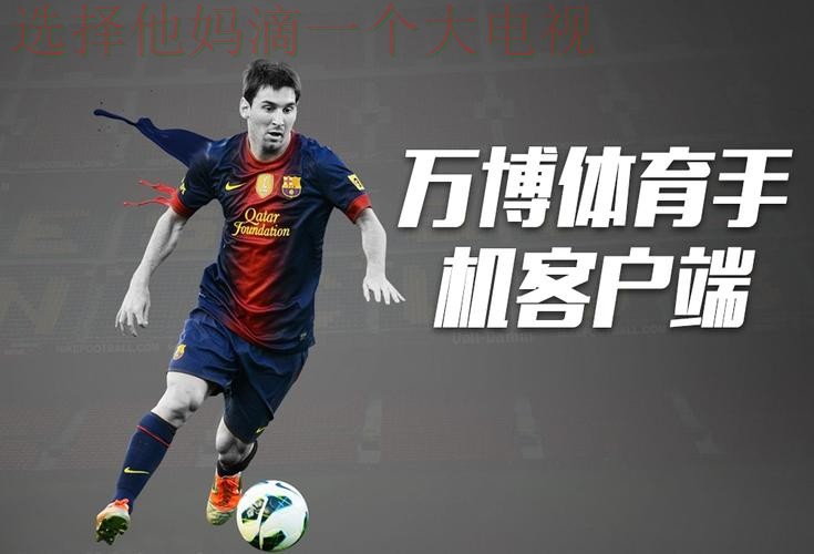 万博体育综合版全面解析